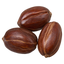Jojoba